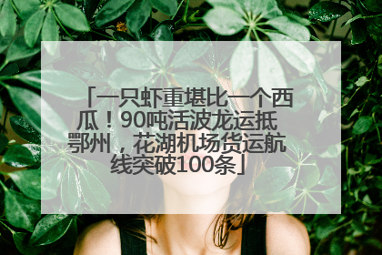 一只虾重堪比一个西瓜！90吨活波龙运抵鄂州，花湖机场货运航线突破100条