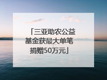 三亚助农公益基金获最大单笔捐赠50万元