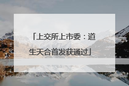 上交所上市委：道生天合首发获通过