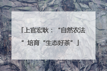 上官宏耿：“自然农法”培育“生态好茶”