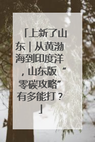 上新了山东｜从黄渤海到印度洋，山东版“零碳攻略”有多能打？
