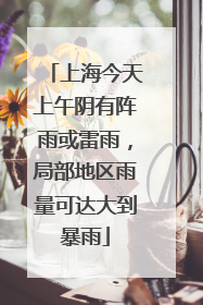 上海今天上午阴有阵雨或雷雨，局部地区雨量可达大到暴雨