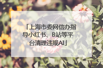 上海市委网信办指导小红书、B站等平台清理违规AI