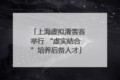上海虚拟滑雪赛举行 “虚实结合”培养后备人才