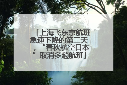 上海飞东京航班急速下降的第二天，“春秋航空日本”取消多趟航班