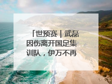世预赛｜武磊因伤离开国足集训队，伊万不再补招顶替球员