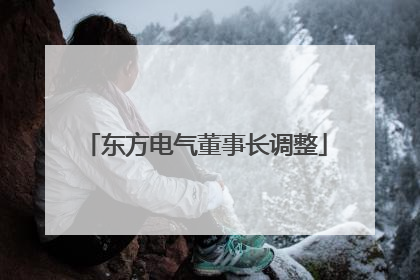 东方电气董事长调整