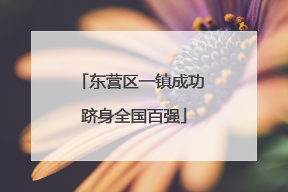 东营区一镇成功跻身全国百强