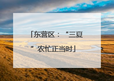 东营区：“三夏”农忙正当时