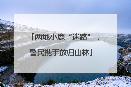 两地小鹿“迷路”，警民携手放归山林