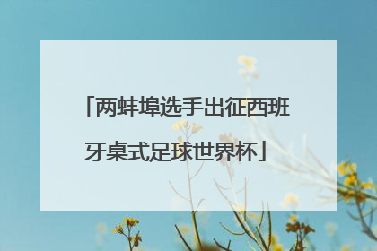 两蚌埠选手出征西班牙桌式足球世界杯