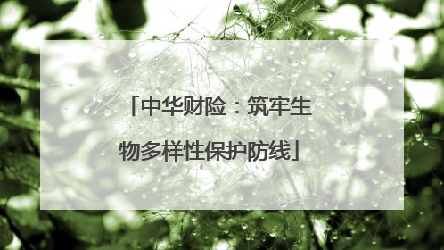 中华财险：筑牢生物多样性保护防线