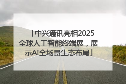 中兴通讯亮相2025全球人工智能终端展，展示AI全场景生态布局