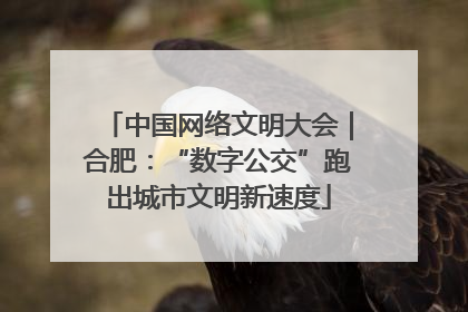 中国网络文明大会｜合肥：“数字公交”跑出城市文明新速度