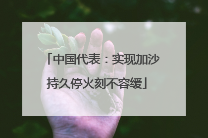 中国代表：实现加沙持久停火刻不容缓