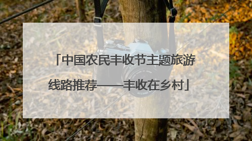 中国农民丰收节主题旅游线路推荐——丰收在乡村