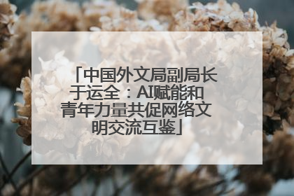 中国外文局副局长于运全：AI赋能和青年力量共促网络文明交流互鉴