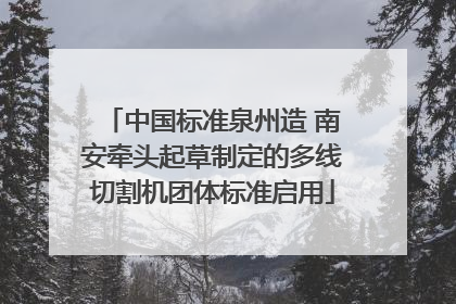 中国标准泉州造 南安牵头起草制定的多线切割机团体标准启用
