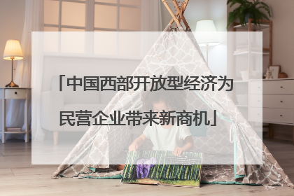 中国西部开放型经济为民营企业带来新商机