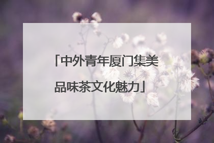 中外青年厦门集美品味茶文化魅力