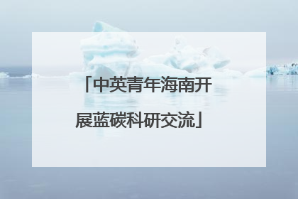 中英青年海南开展蓝碳科研交流