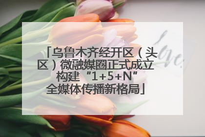 乌鲁木齐经开区（头区）微融媒圈正式成立 构建“1+5+N”全媒体传播新格局