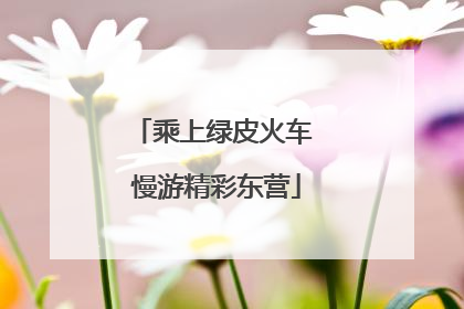乘上绿皮火车 慢游精彩东营
