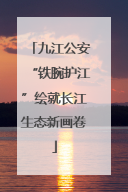 九江公安“铁腕护江”绘就长江生态新画卷