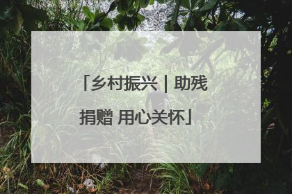 乡村振兴｜助残捐赠 用心关怀