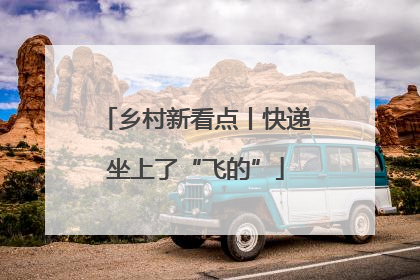 乡村新看点丨快递坐上了“飞的”
