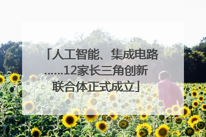 人工智能、集成电路……12家长三角创新联合体正式成立