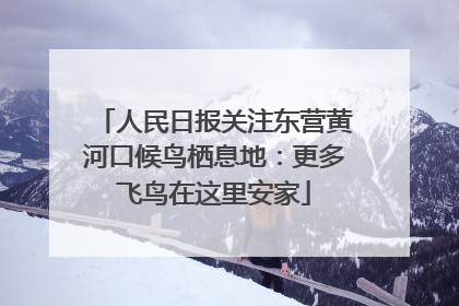 人民日报关注东营黄河口候鸟栖息地：更多飞鸟在这里安家