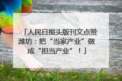人民日报头版刊文点赞潍坊：把“当家产业”做成“担当产业”！