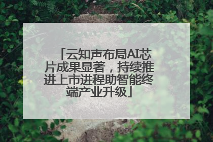 云知声布局AI芯片成果显著，持续推进上市进程助智能终端产业升级