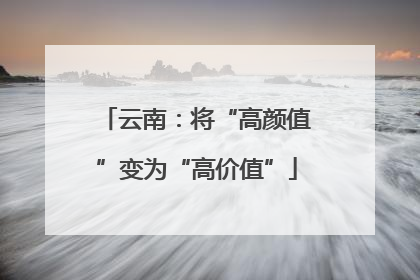 云南：将“高颜值”变为“高价值”