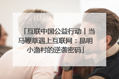 互联中国公益行动丨当马鞭草遇上互联网：昆明小渔村的逆袭密码
