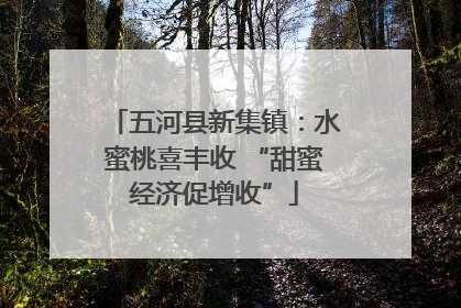 五河县新集镇：水蜜桃喜丰收 “甜蜜经济促增收”