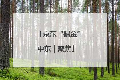 京东“掘金”中东｜聚焦