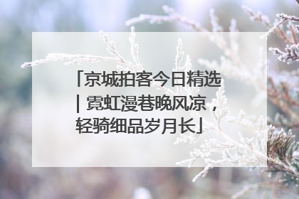 京城拍客今日精选｜霓虹漫巷晚风凉，轻骑细品岁月长
