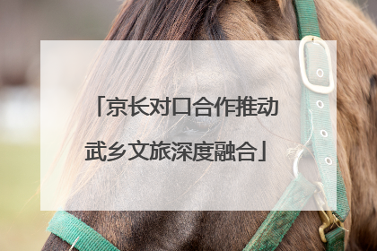 京长对口合作推动武乡文旅深度融合