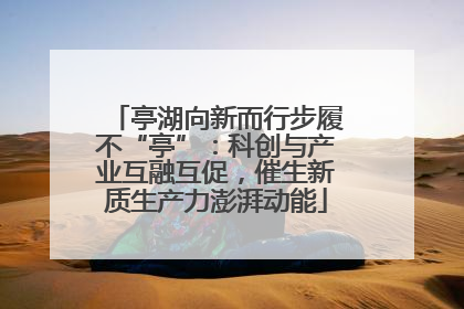 亭湖向新而行步履不“亭”：科创与产业互融互促，催生新质生产力澎湃动能