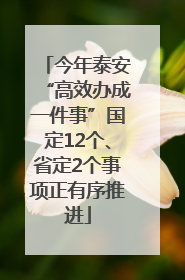 今年泰安“高效办成一件事”国定12个、省定2个事项正有序推进