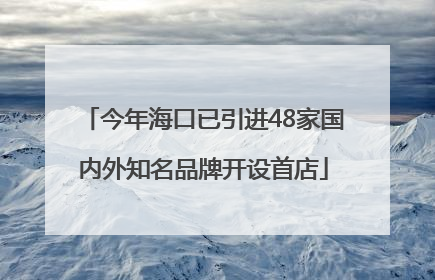 今年海口已引进48家国内外知名品牌开设首店