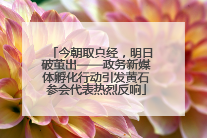 今朝取真经，明日破茧出——政务新媒体孵化行动引发黄石参会代表热烈反响