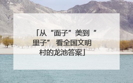 从“面子”美到“里子” 看全国文明村的龙池答案