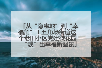 从“隐患地”到“幸福角”！五角场街道这个老旧小区党建微花园“靓”出幸福新图景
