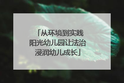 从环境到实践 阳光幼儿园让法治浸润幼儿成长