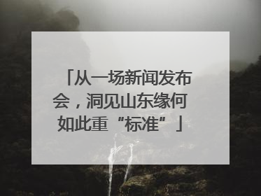 从一场新闻发布会，洞见山东缘何如此重“标准”