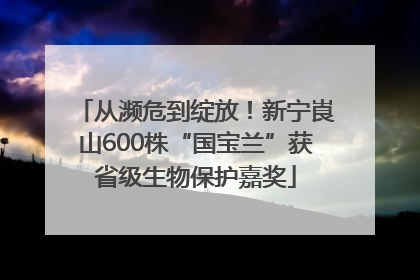 从濒危到绽放！新宁崀山600株“国宝兰”获省级生物保护嘉奖
