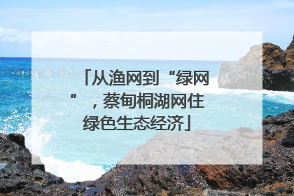 从渔网到“绿网”，蔡甸桐湖网住绿色生态经济